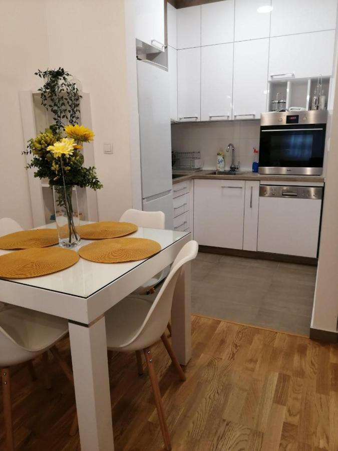 Center Sunrise Apartment Novi Sad Exterior photo